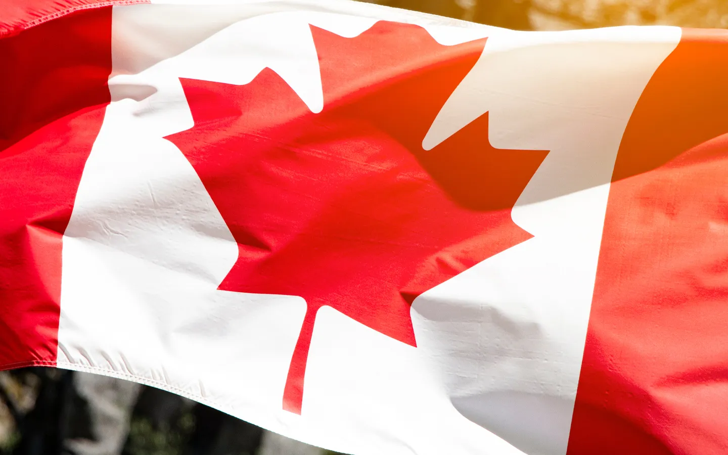 Canadian flag waving in the wind